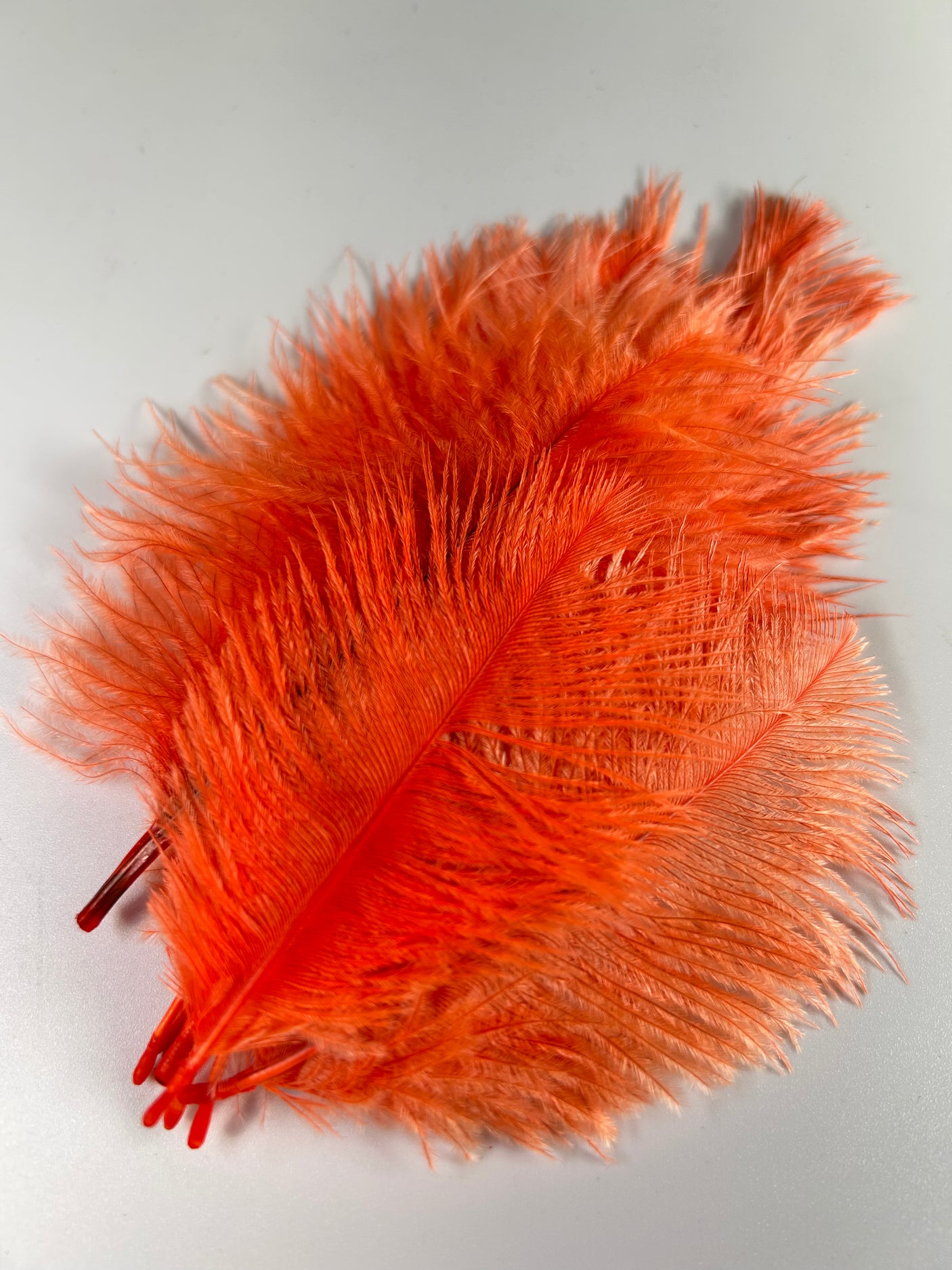 Spey Plumes Ostrich