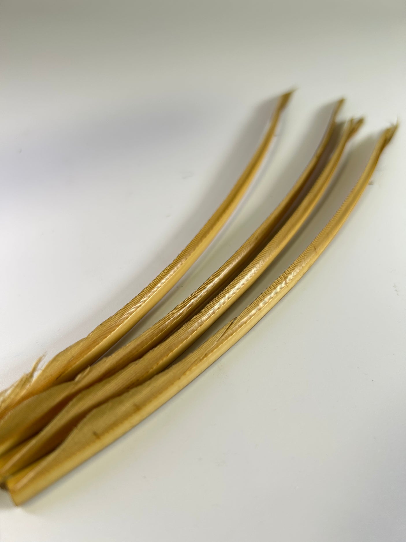 Turkey Biot Strips