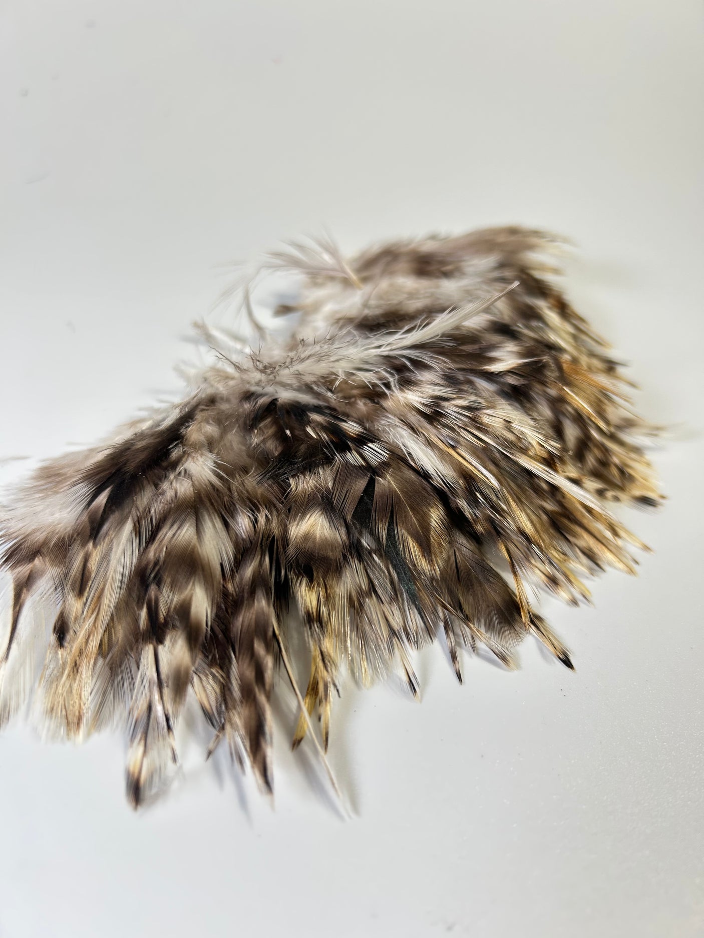 Grizzly Variant Rooster Saddle