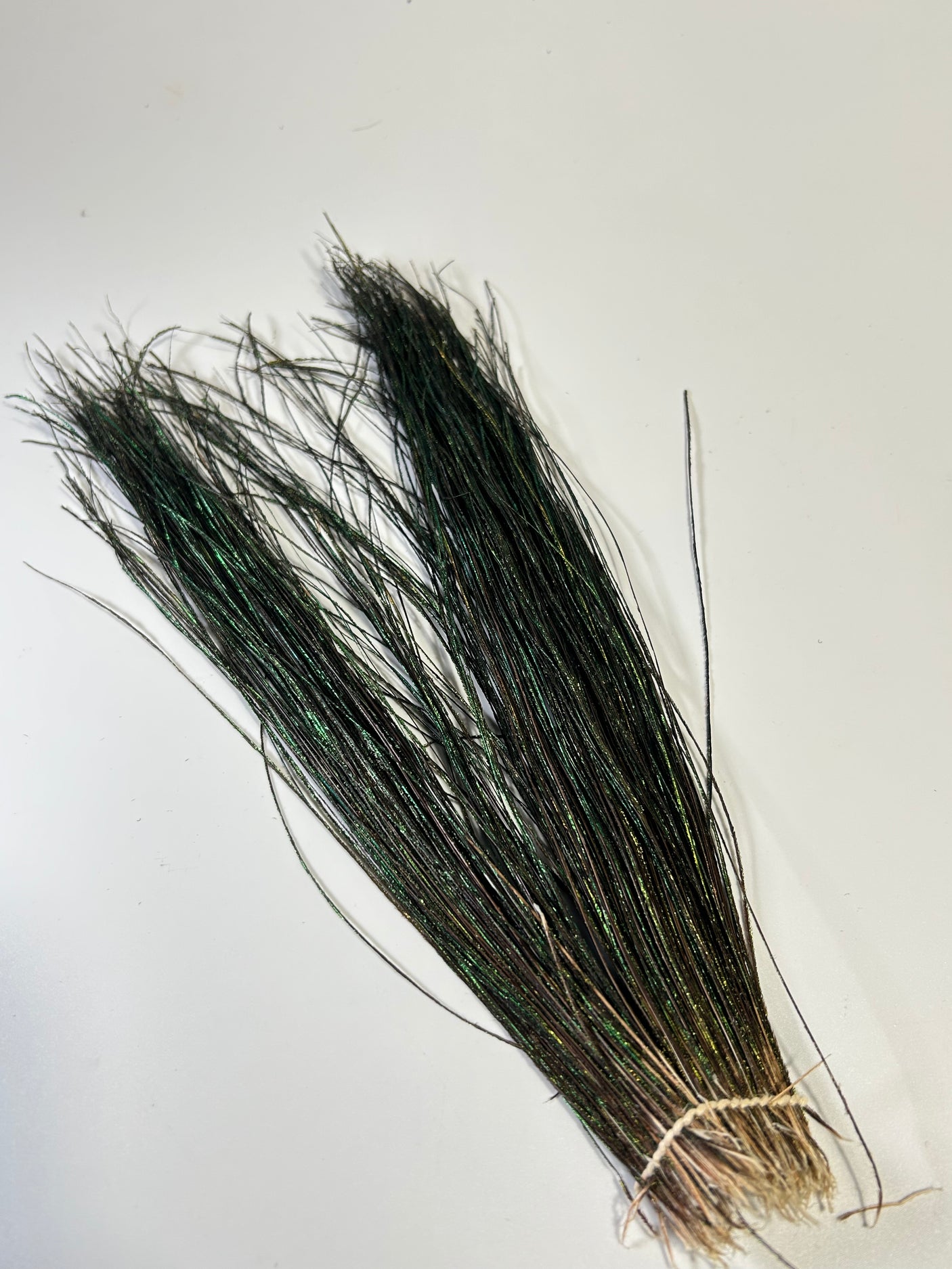 SELECT PEACOCK STRUNG HERL Select 12" to 14" - 1/8 oz."