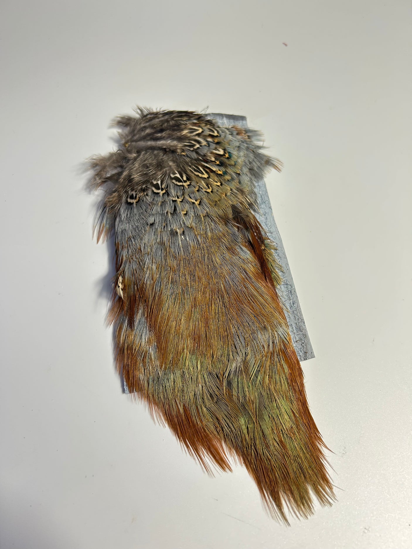 SFF Pheasant Rump Patch