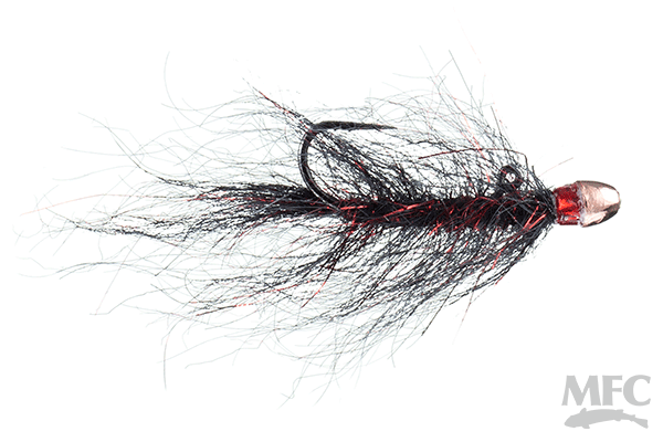 Chan’s Balanced Ruby Eyed Leech