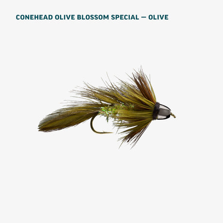Rio Trout Spey Assortment