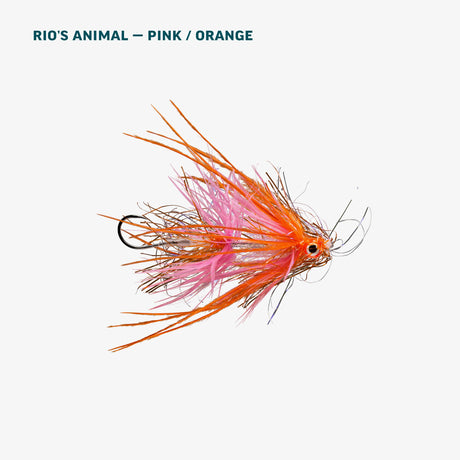 RIO Alaska Salmon Assortment