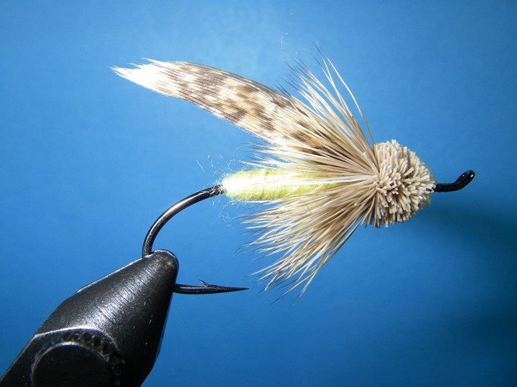 Irideus Jackson's Legacy Steelhead Caddis - 6 Pack Fly Fishing Flies, Size 12 Nymph