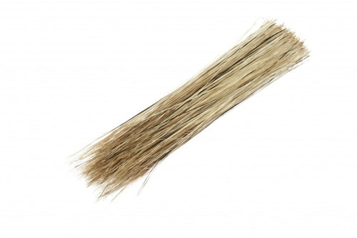 Boar Bristles
