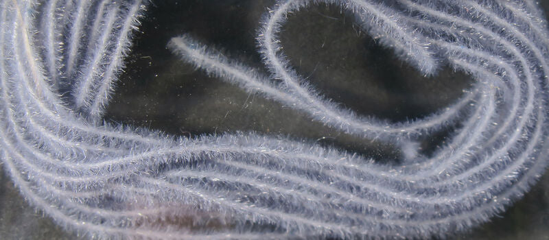 Ez Magic Dub #229 Medium Gray