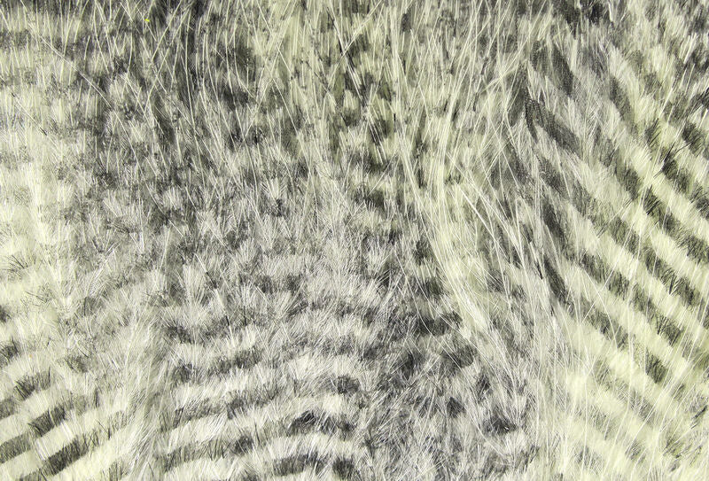 Hareline Fine Black Barred Marabou