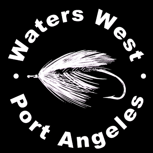 Guided Fly Fishing Trip