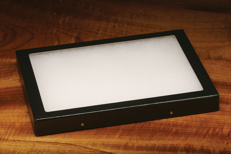 Large Fly Display Box 6X8