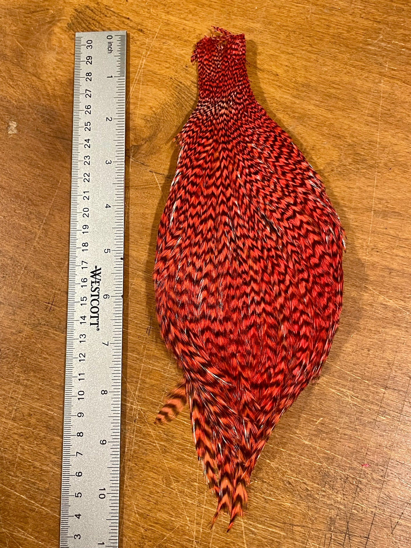 One off - Grizzly Rooster Cape dyed Hot Orange