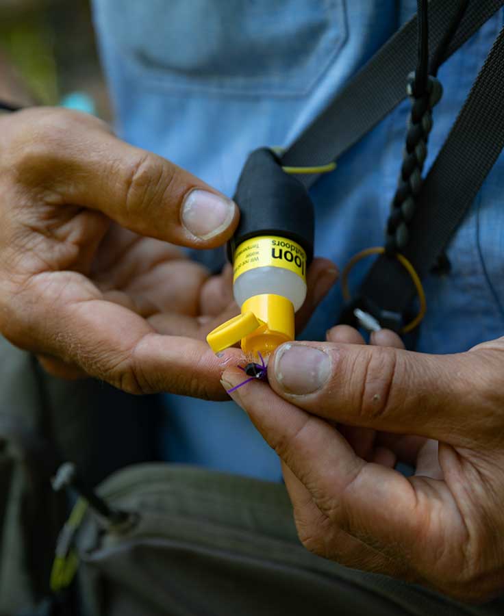 Loon Silicone Small Floatant Caddy