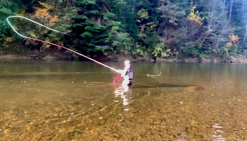 Guided Fly Fishing Trip