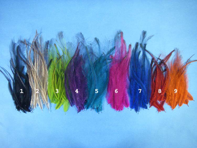 Dyed Emu Feathers