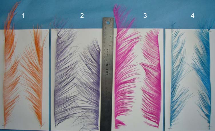 Peeled Rhea feathers for steelhead flies