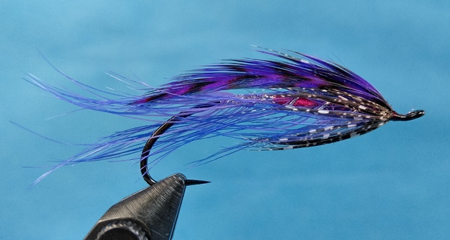 #3 Pink and Purple Spey - Dahlquist - Click Image to Close