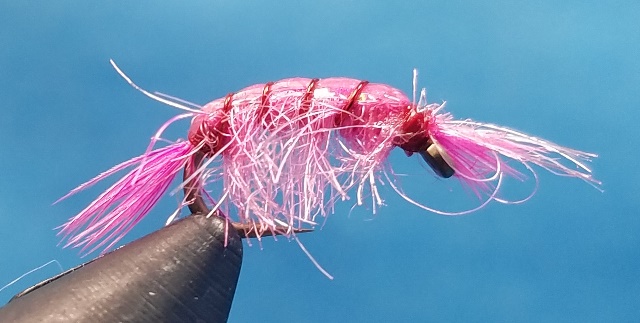 Big Horn Scud Pink