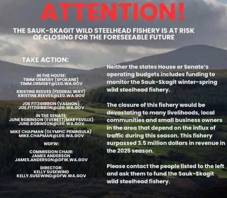 Help Save the Skagit Steelhead Season!