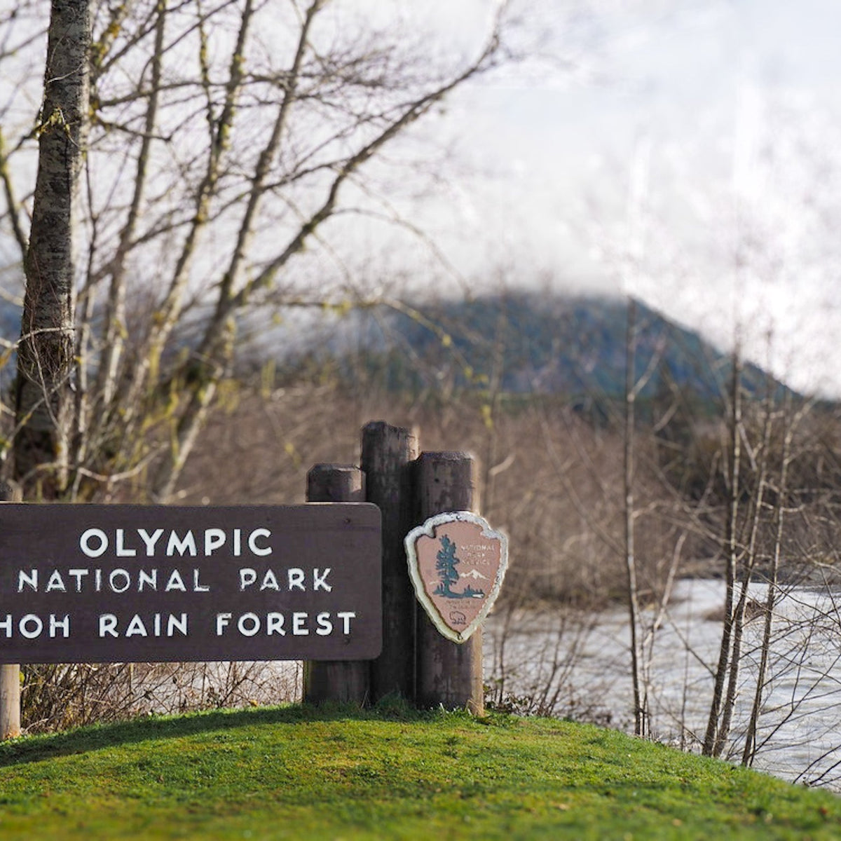 Upper Hoh Road UPDATE! – Waters West Fly Fishing Outfitters