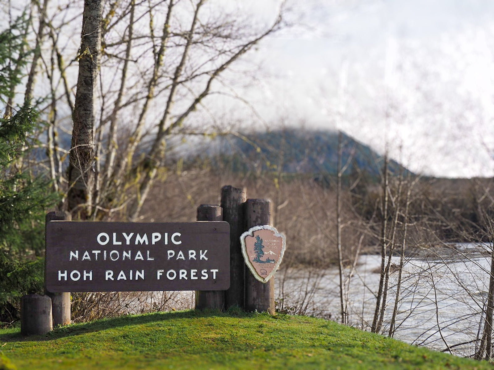 Upper Hoh Road UPDATE!