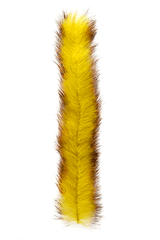 MFC Bunny Brushes
