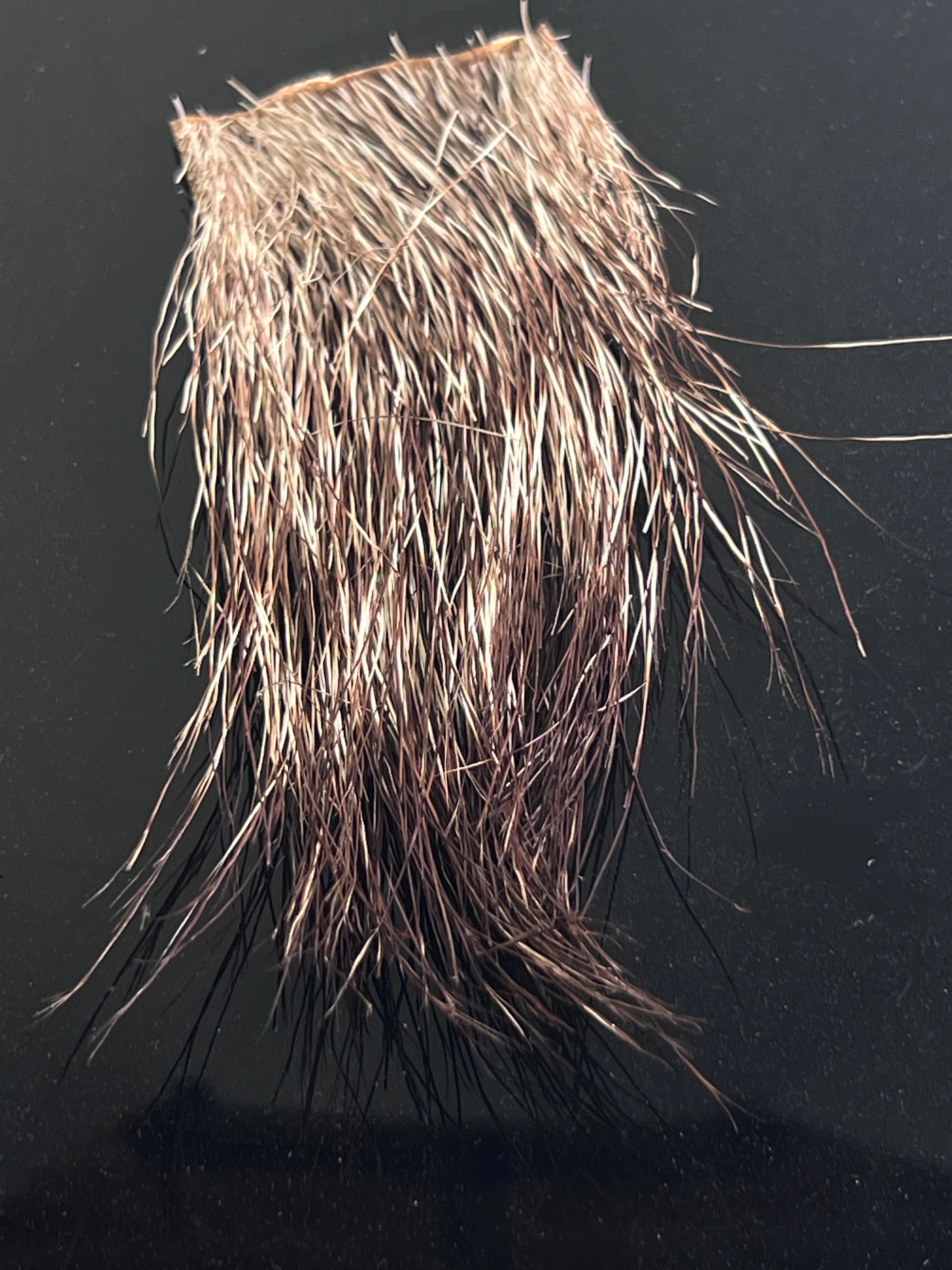 Peccary Mane Hair at Waters West Fly Fishing