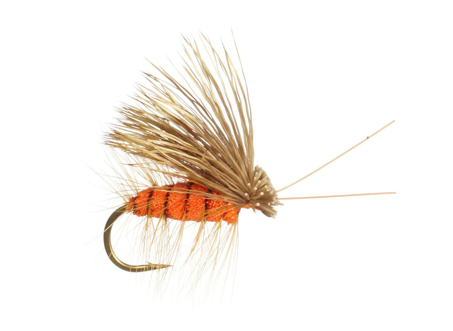 Irresistible October Caddis
