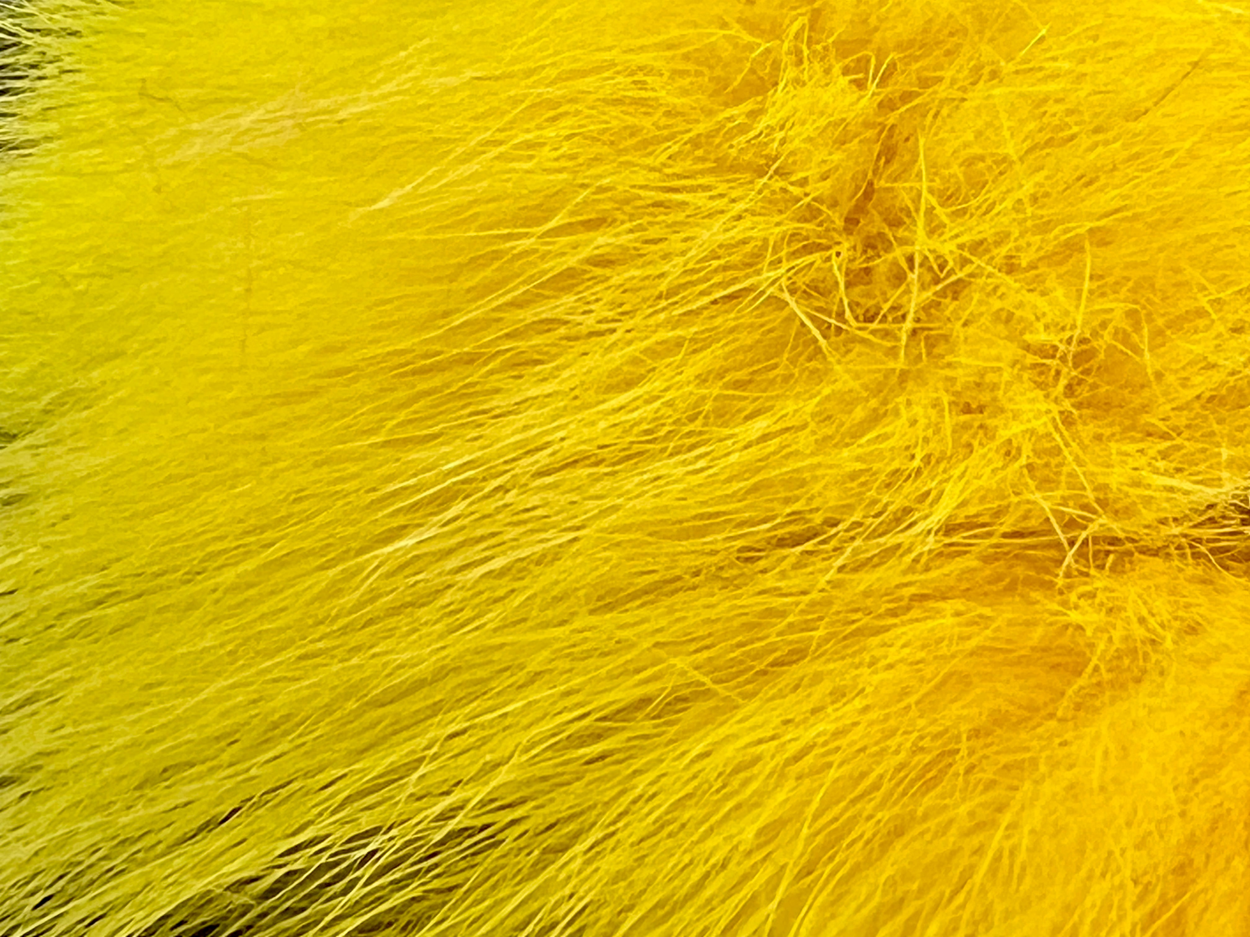 Arctic Fox Tails – Waters West Fly Fishing Outfitters