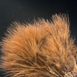 Strung Blood Quill Marabou