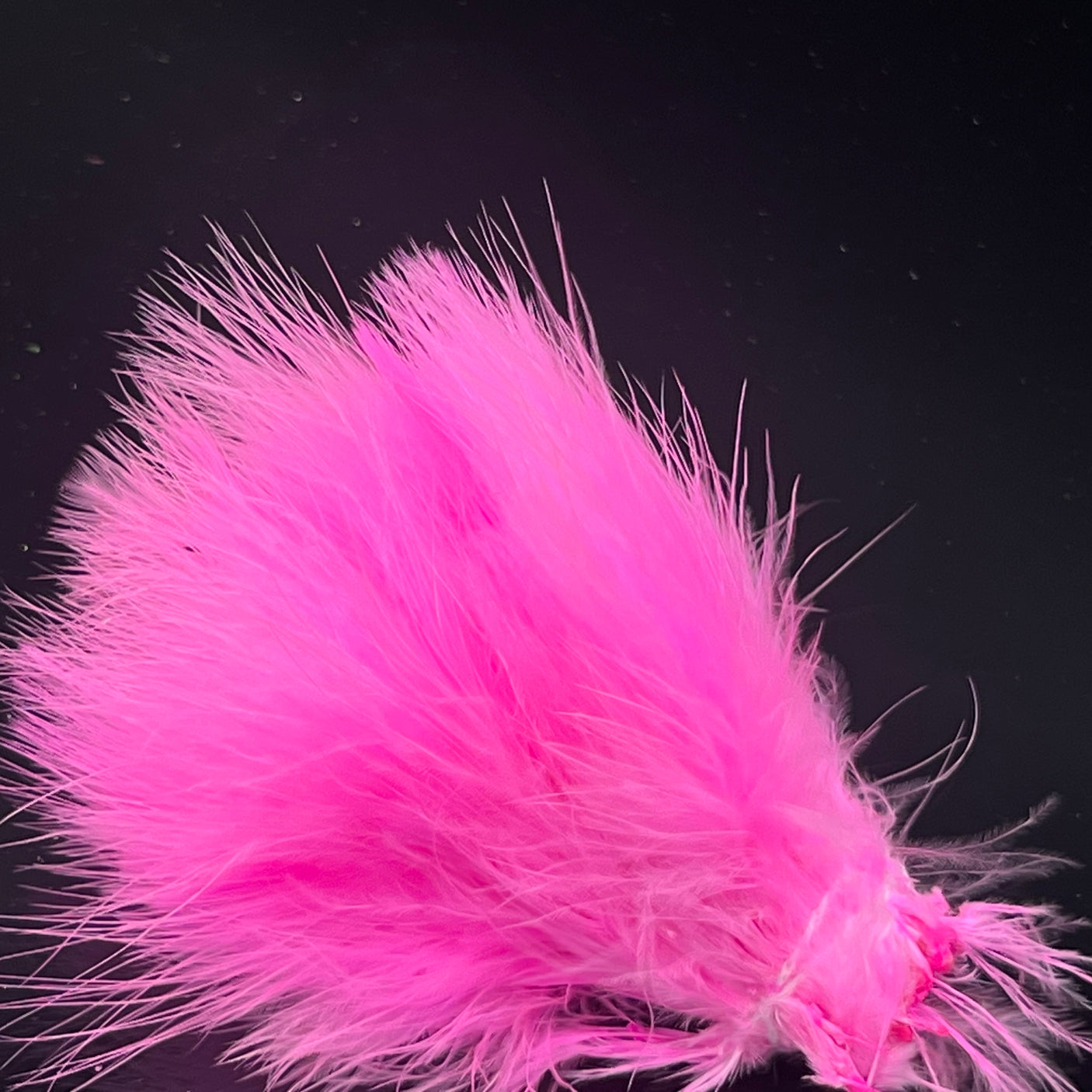 Strung Blood Quill Marabou