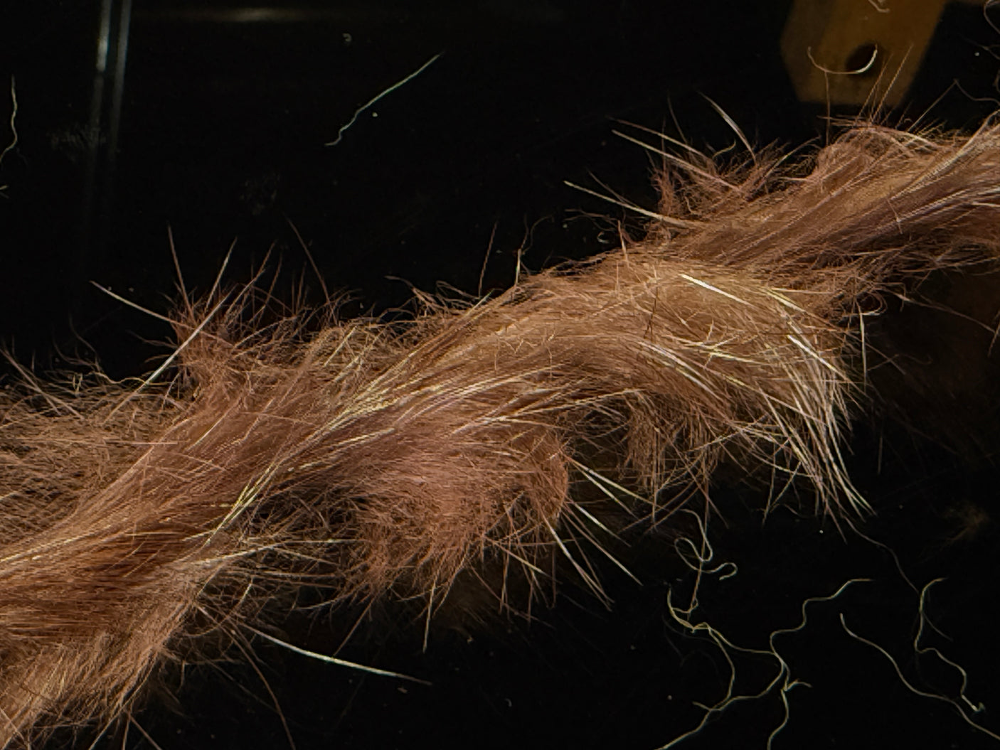 Micro Rabbit Strips