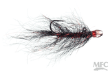 Chan's Ruby Eyed Leech