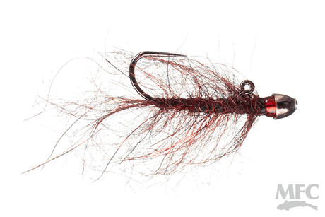 Chan's Ruby Eyed Leech