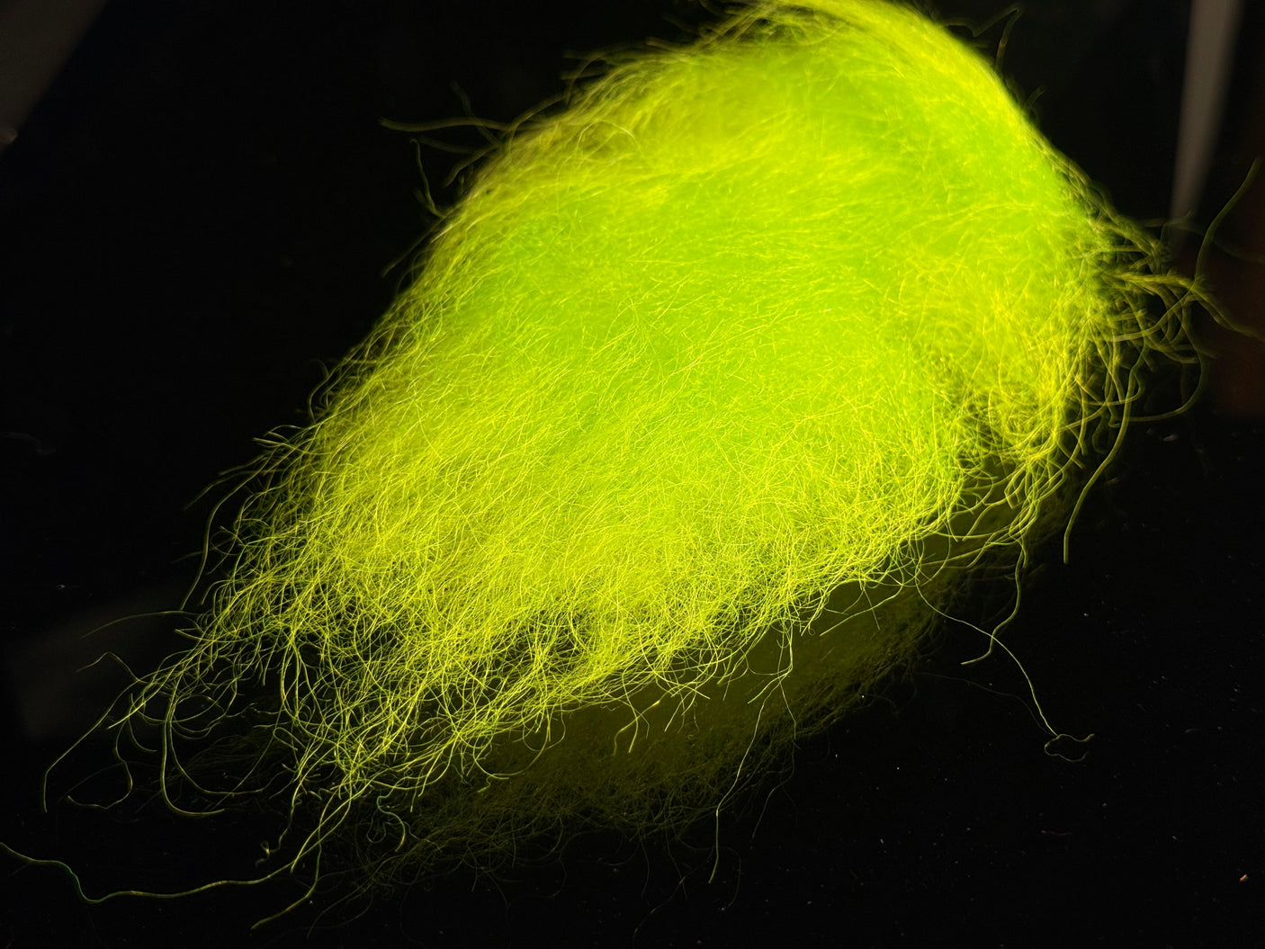 Icelandic Sheep Hair