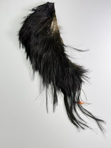 Whiting Bird Fur