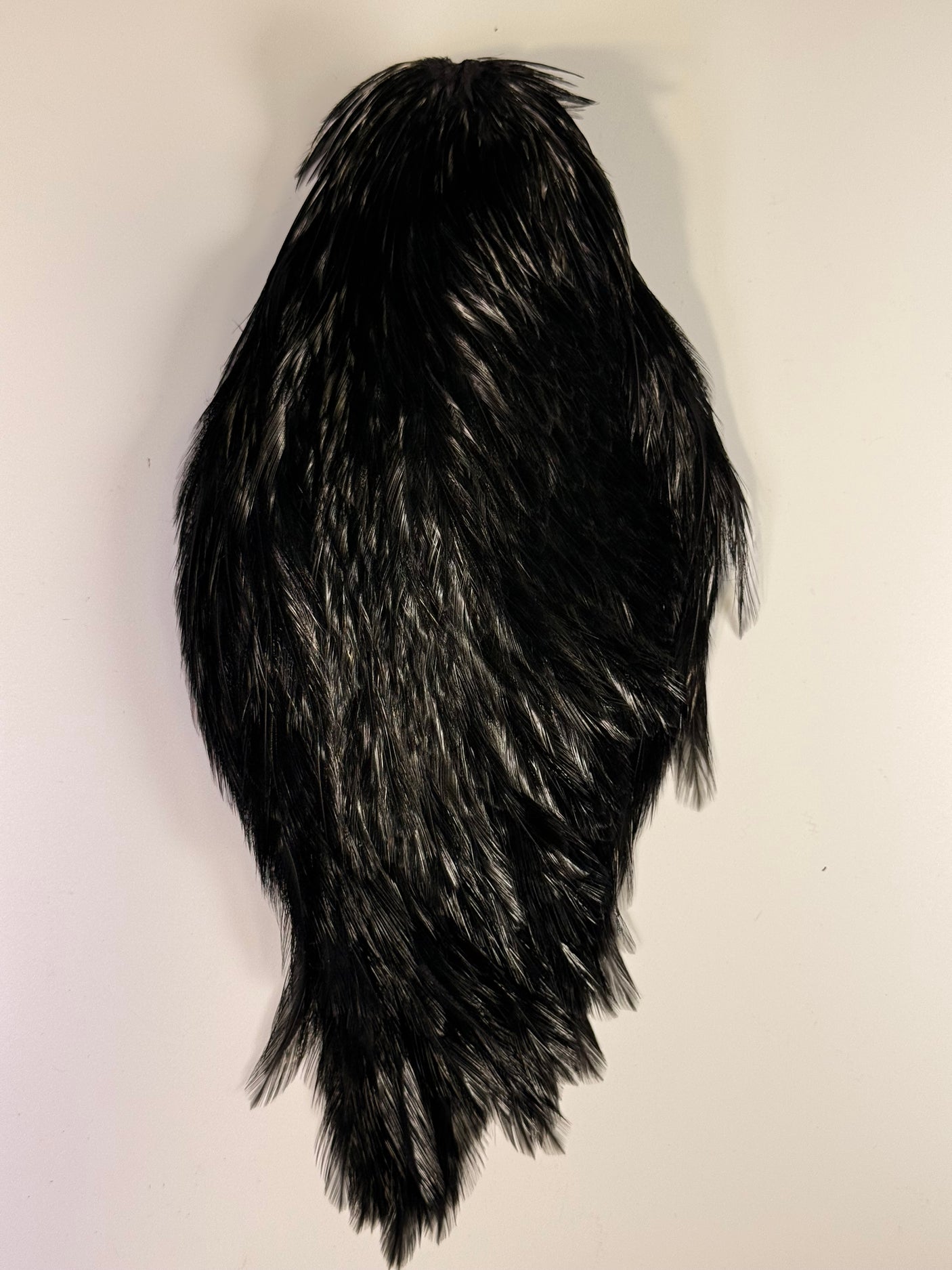 Streamer Rooster Neck #1