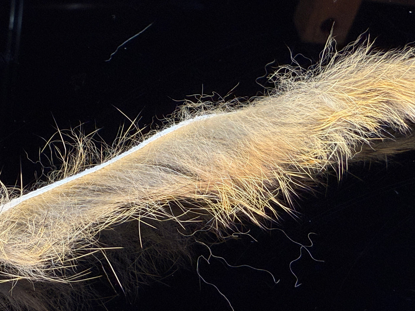 Micro Rabbit Strips