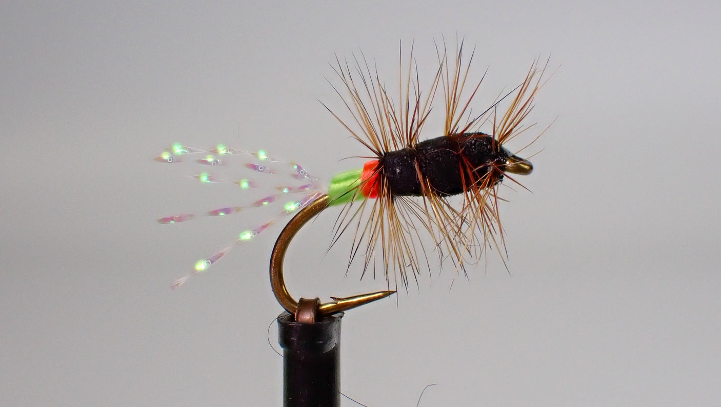 Buck Bug