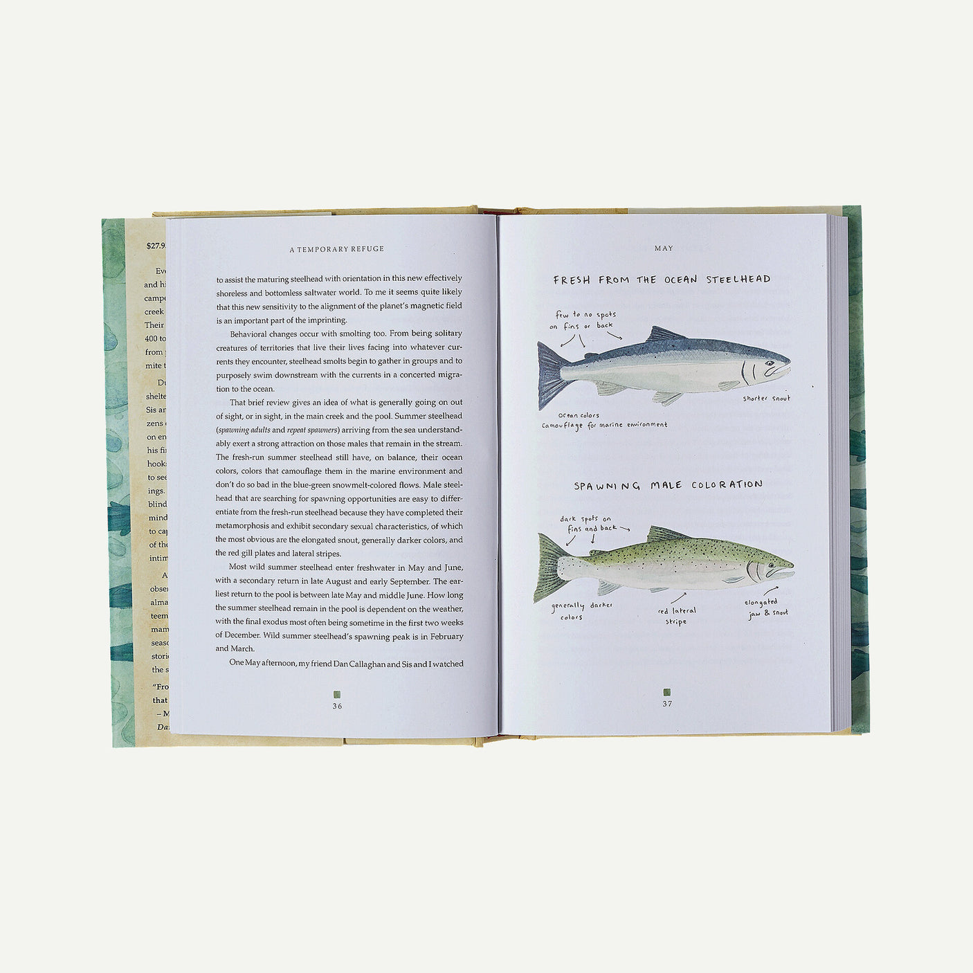 A Temporary Refuge: Fourteen Seasons with Wild Summer Steelhead