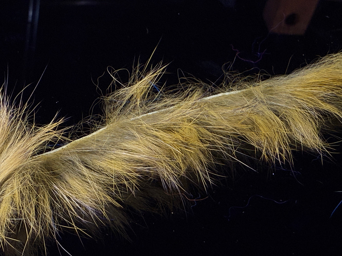 Micro Rabbit Strips