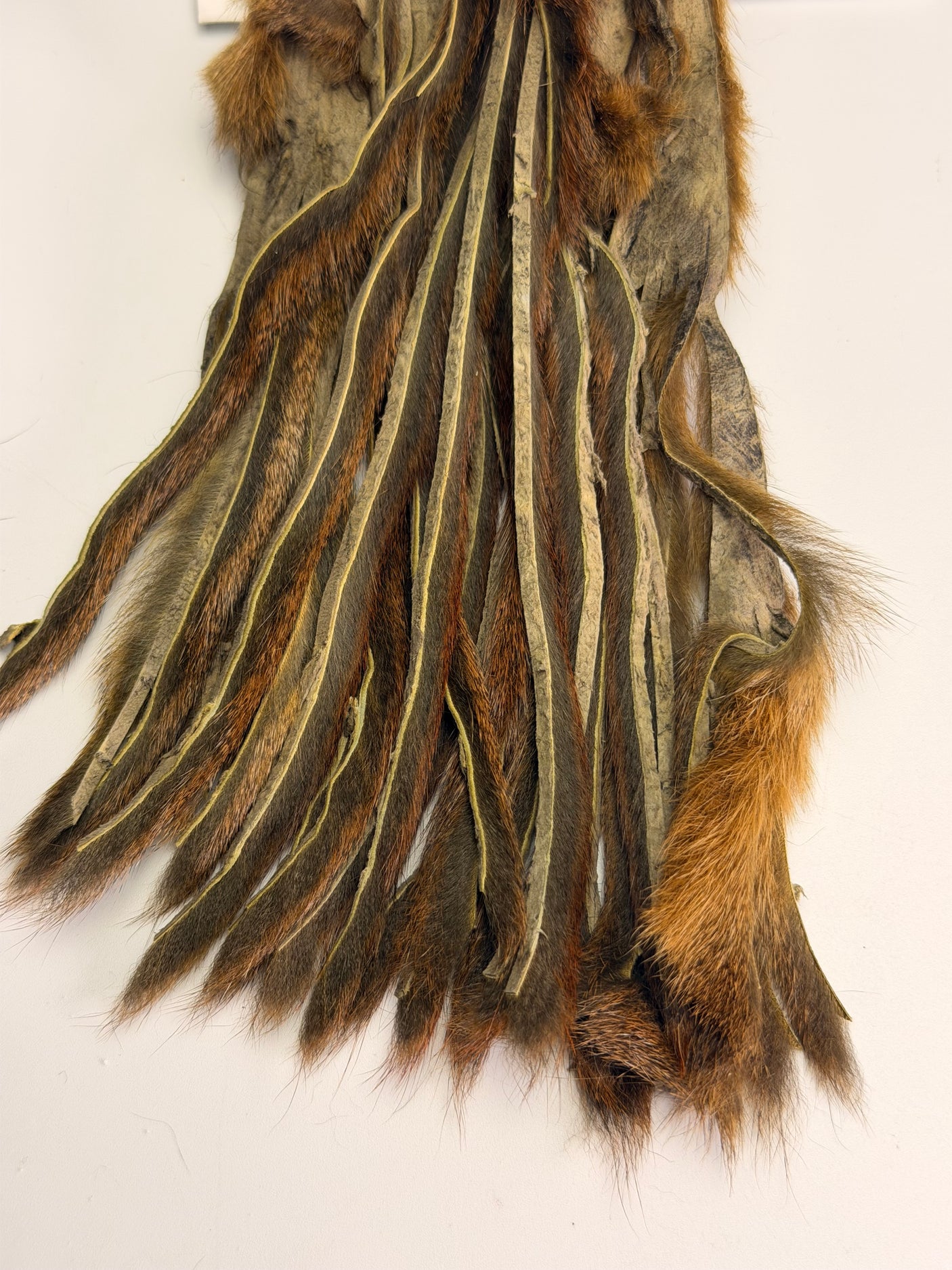 Pine Squirrel Skin - Zonked