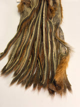 Pine Squirrel Skin - Zonked