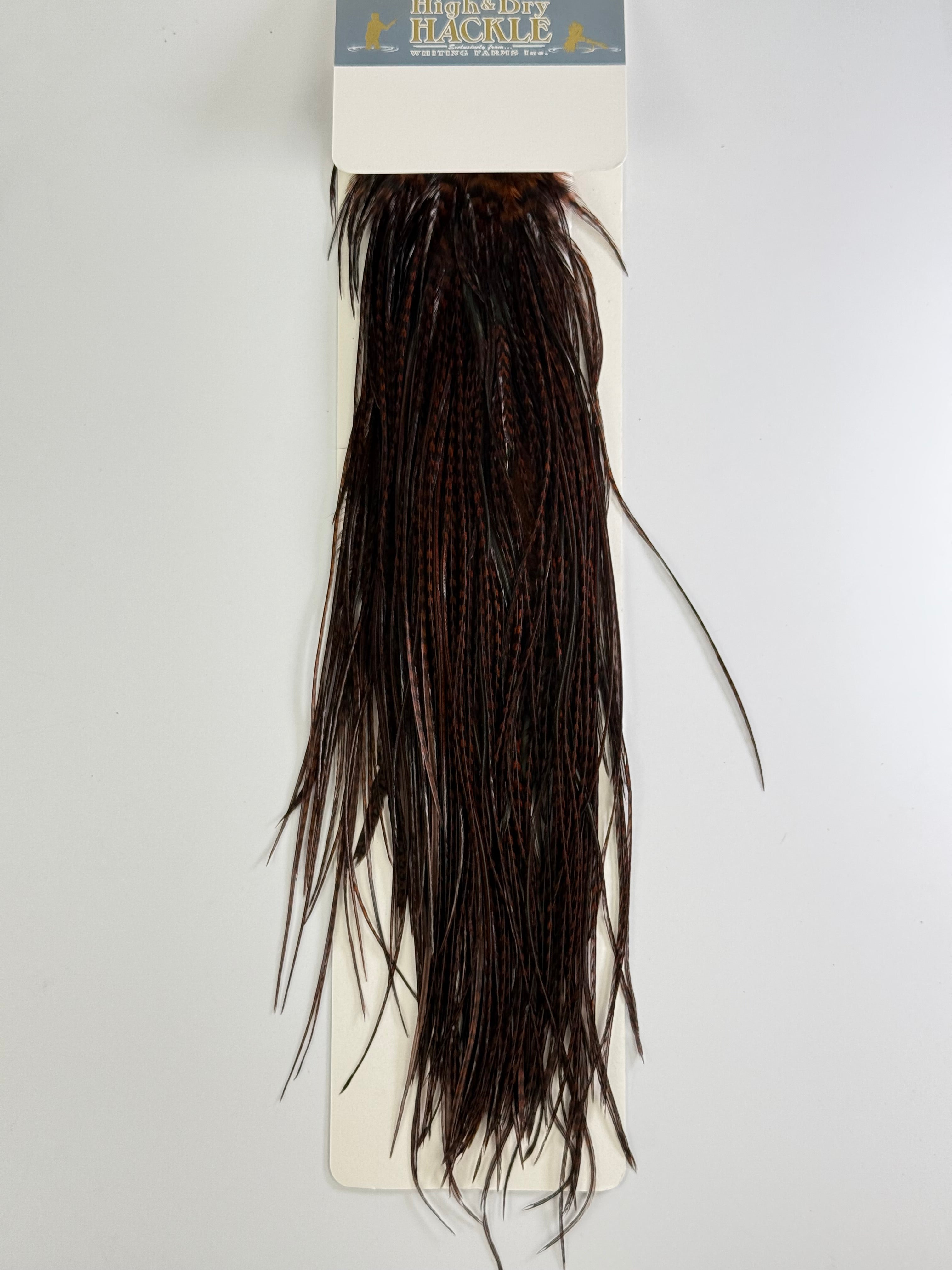 Whiting High and Dry 1/2 Saddle Grizzly at Waters West Fly Fishing