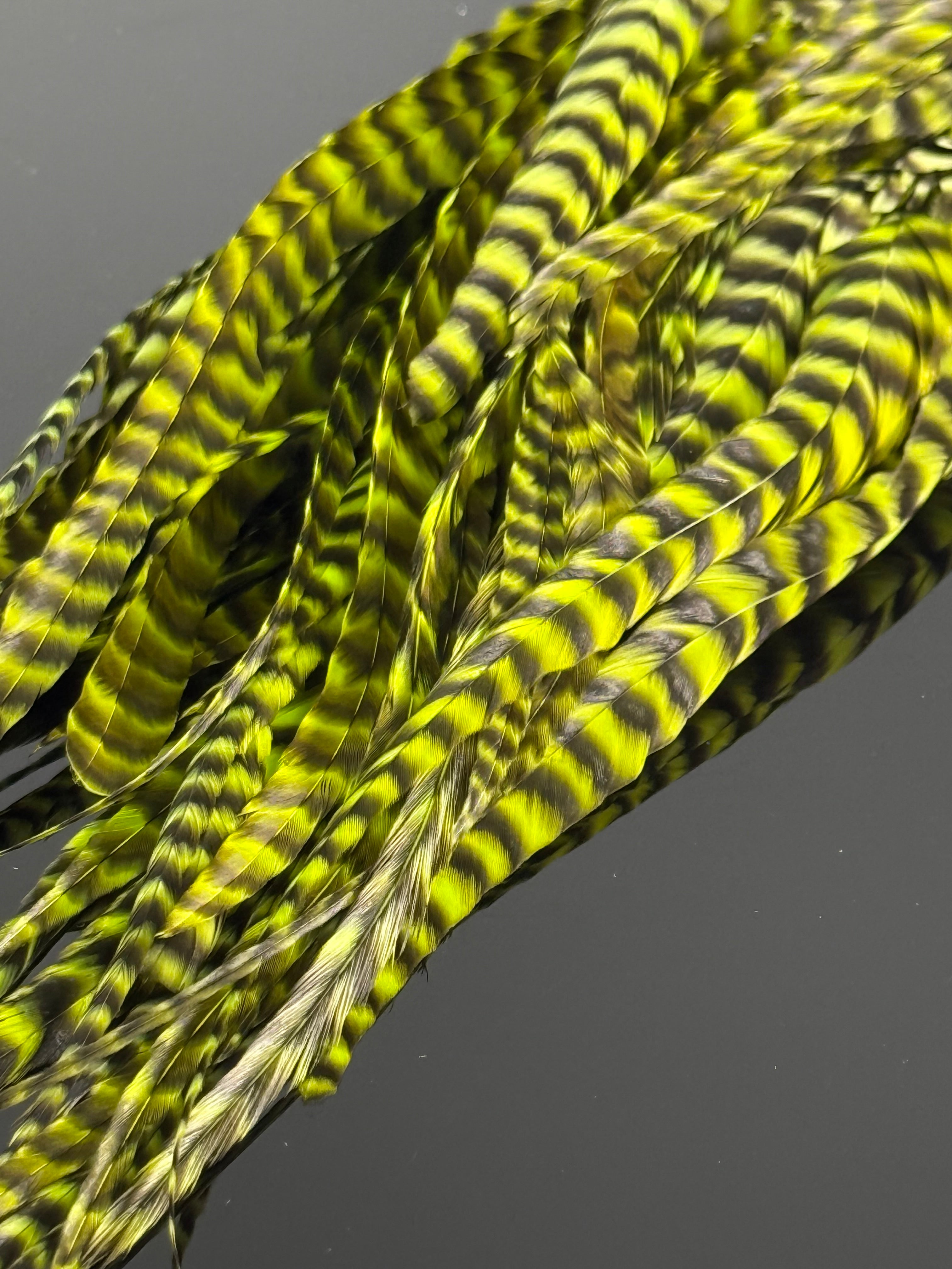Whiting – Waters West Fly Fishing Outfitters