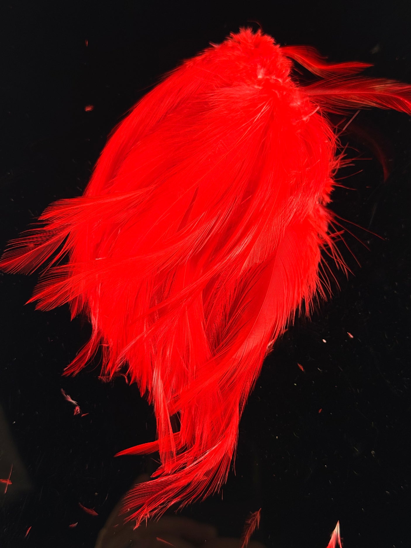 Hareline Saltwater Neck Hackle