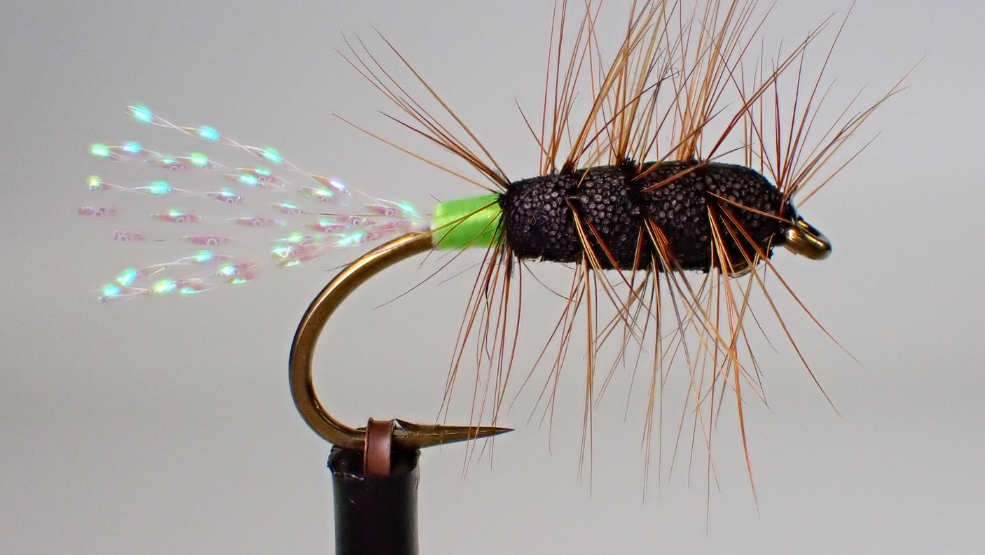 Buck Bug