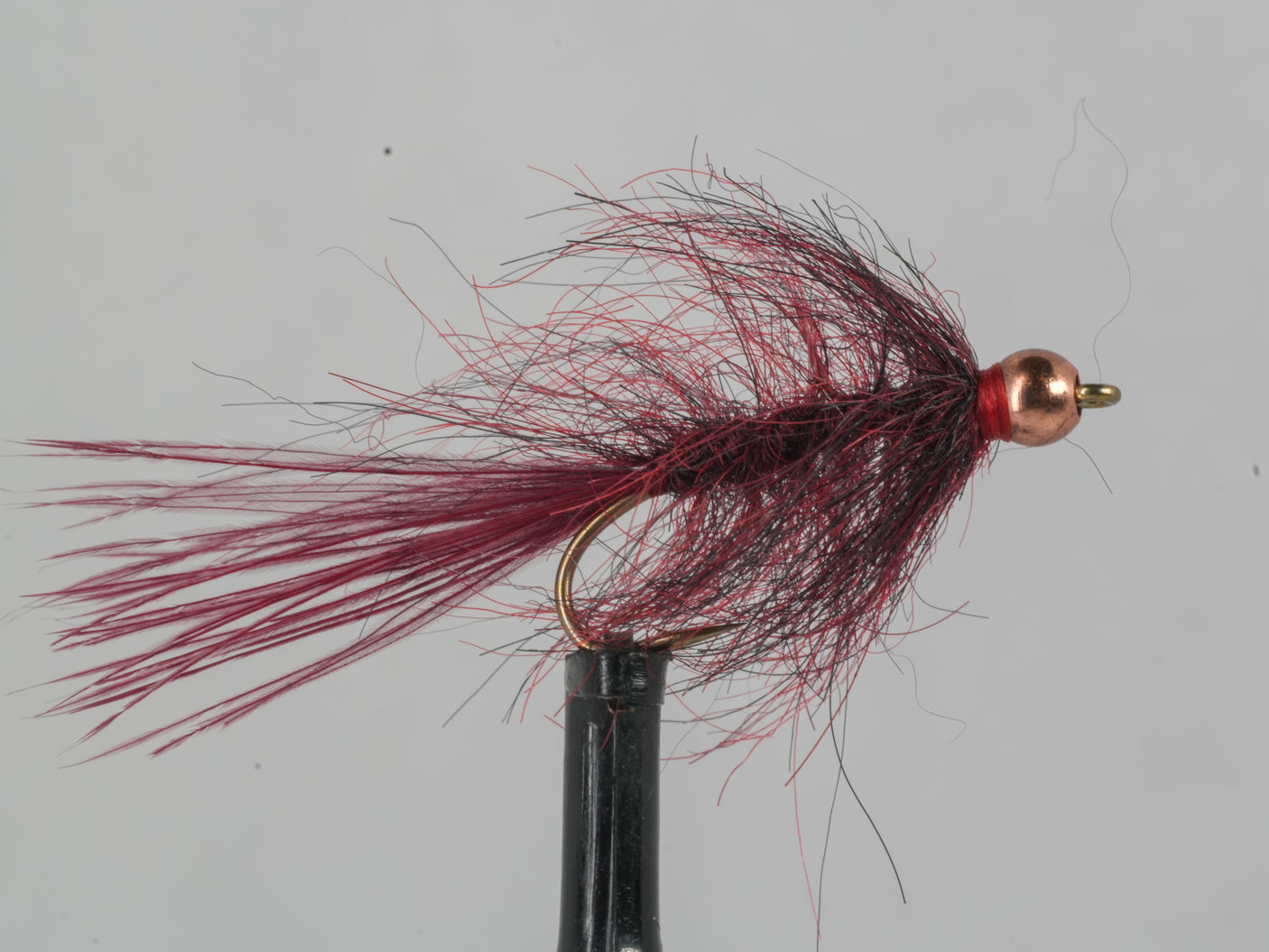 Hale Bopp Leech - Bead Head