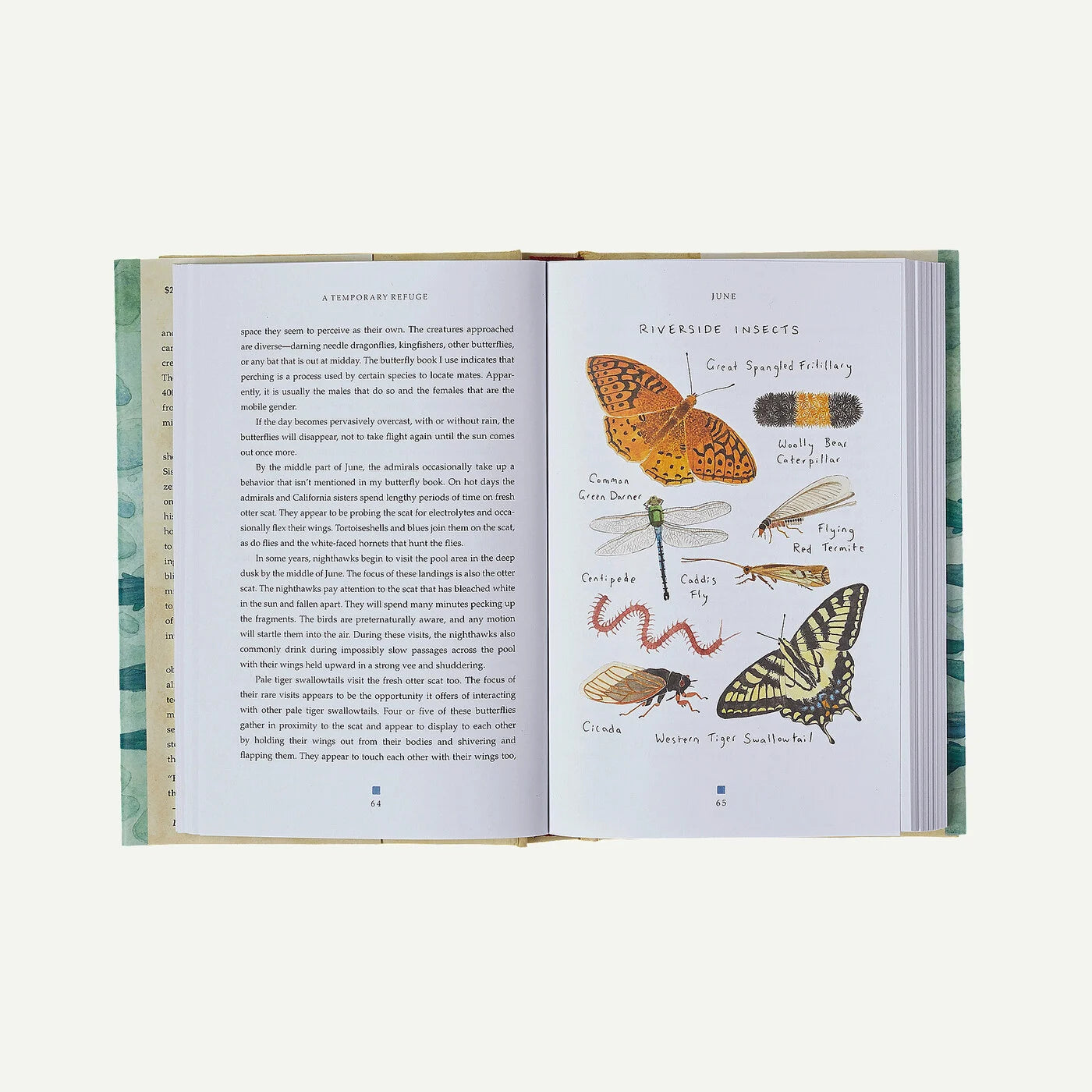 A Temporary Refuge: Fourteen Seasons with Wild Summer Steelhead