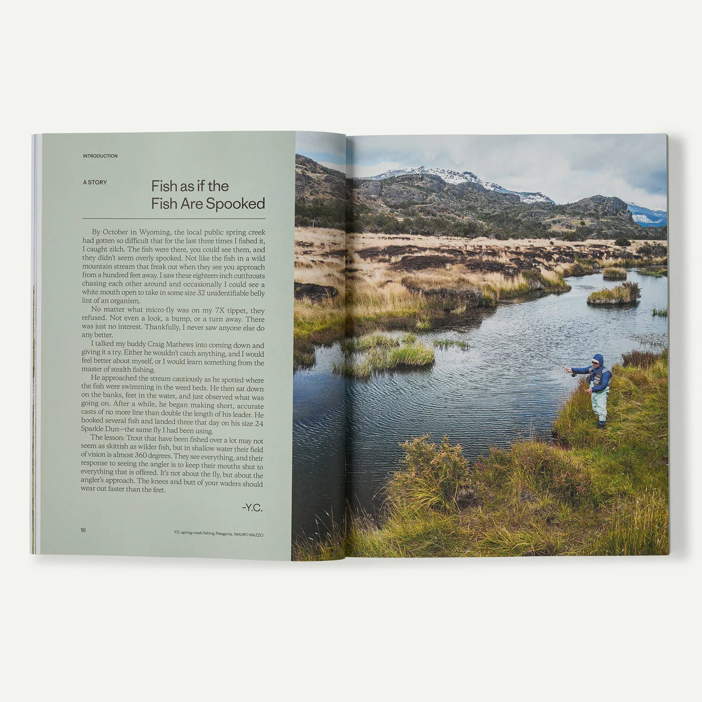 Pheasant Tail Simplicity by Yvon Chouinard, Craig Mathews, and Mauro Mazzo