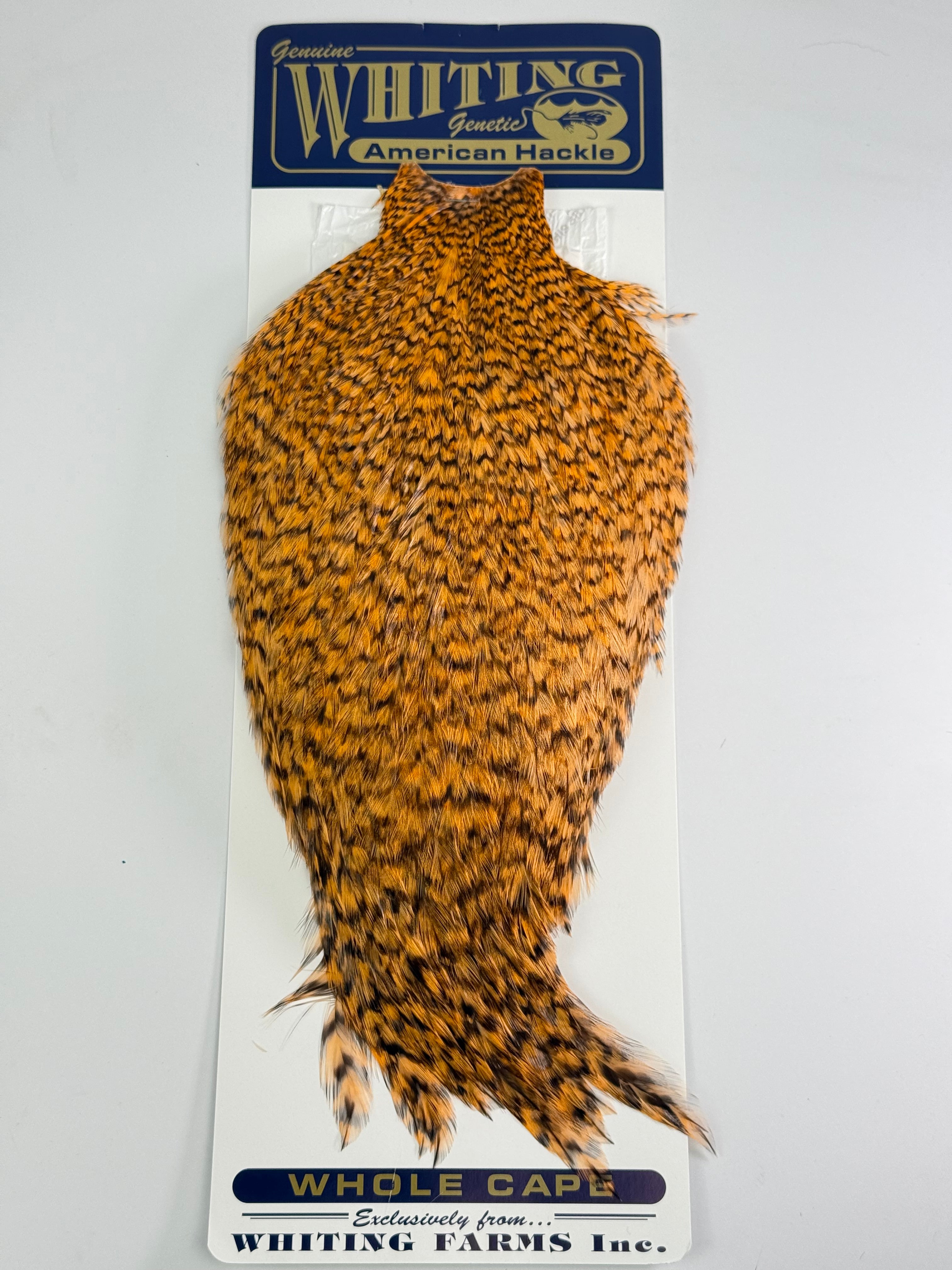 Whiting American Hackle Whole Rooster Capes at Waters West Fly